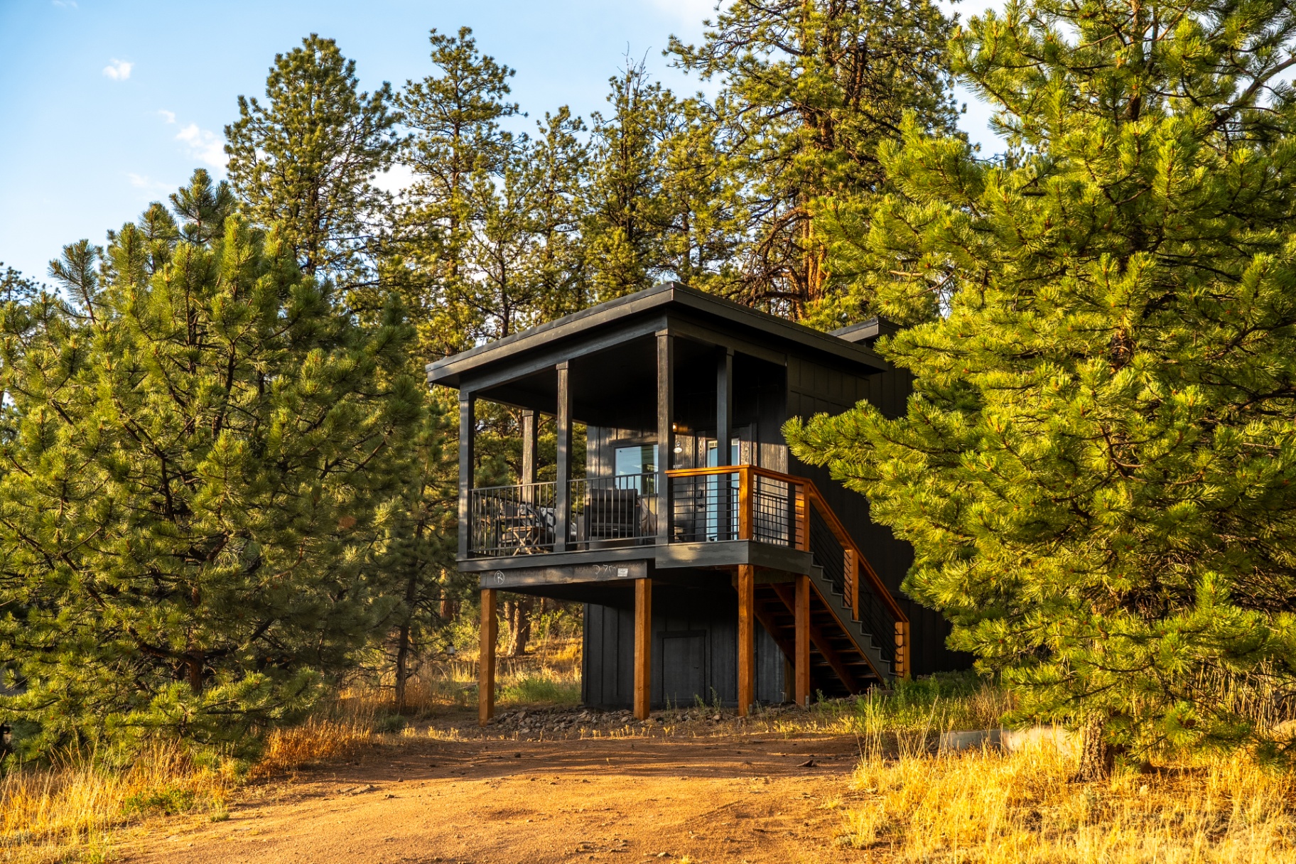 La Casa Noche exterior nestled among tall pines at golden hour
