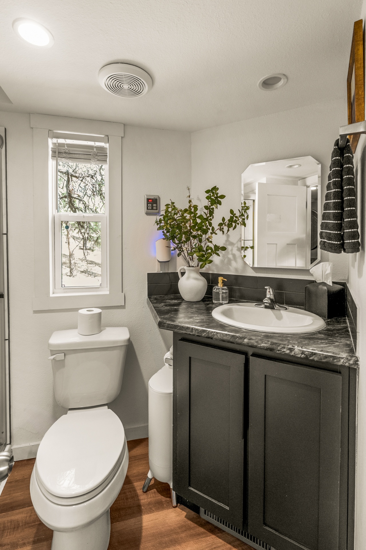 Bright bathroom with black vanity and fresh greenery